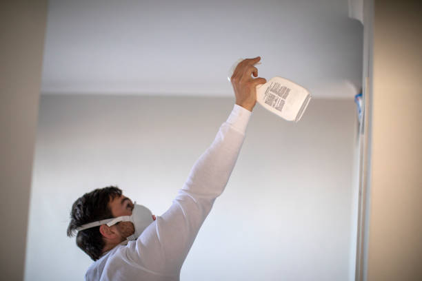 Best Black Mold Remediation in Holiday Shores, IL