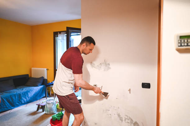 Best Emergency Mold Remediation in Holiday Shores, IL